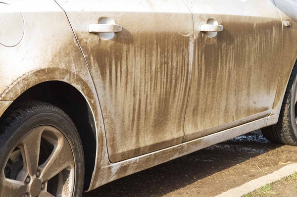 The side of a car, stained with dirt
