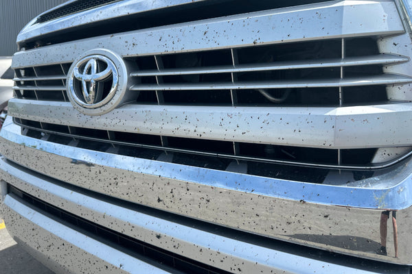 Bug splatter on front car grille. Bug splatter removal from car grille without paint damage.