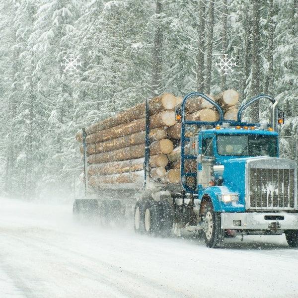 Michigan and Indiana Fleet Washing: A Regional Guide to Winter Grime and Inspection Readiness